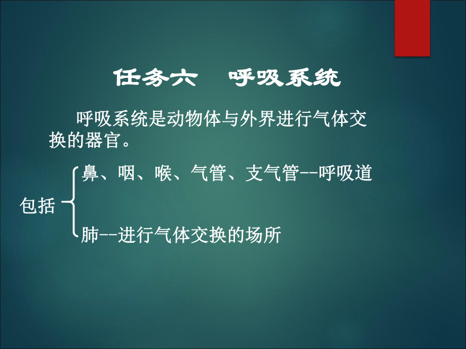 畜禽解剖学呼吸系统课件.ppt_第1页