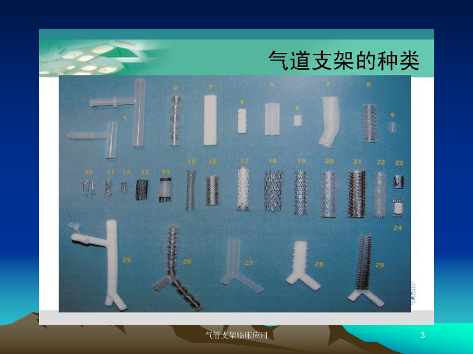 气管支架临床应用培训课件.ppt_第3页