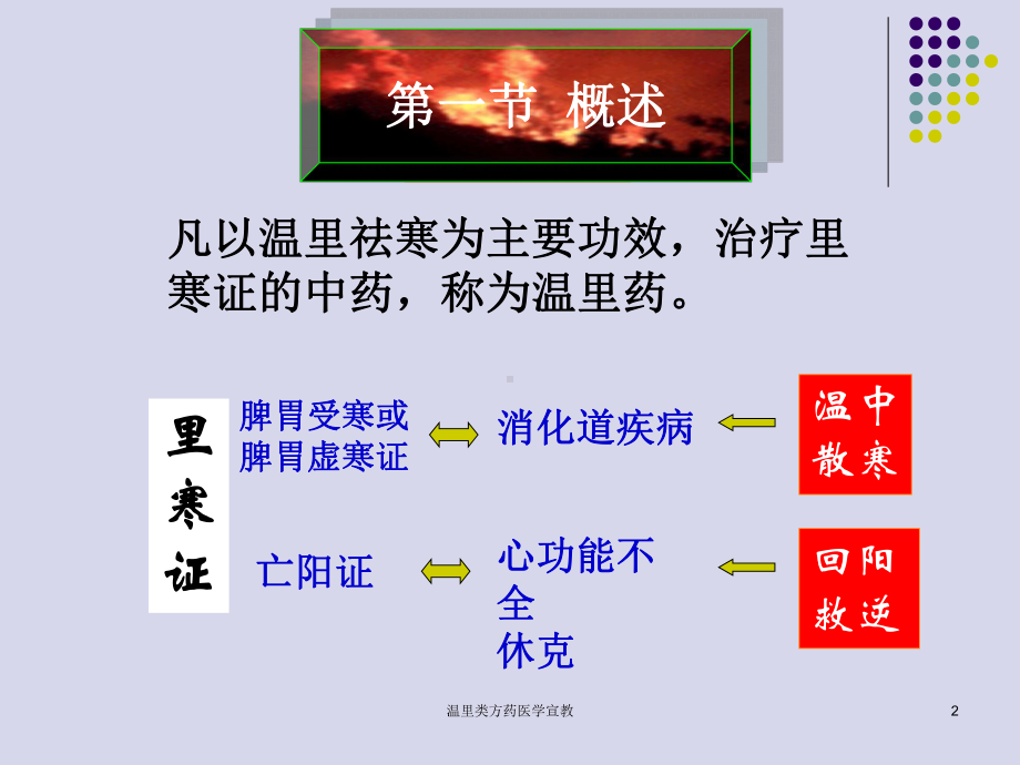 温里类方药医学宣教培训课件.ppt_第2页