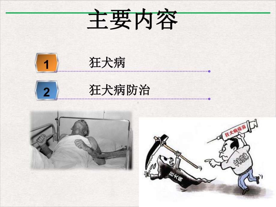 狂犬病及狂犬病防治优选课件.ppt_第2页