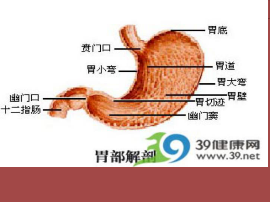 消化道肿瘤专题知识宣教宣讲培训课件.ppt_第2页