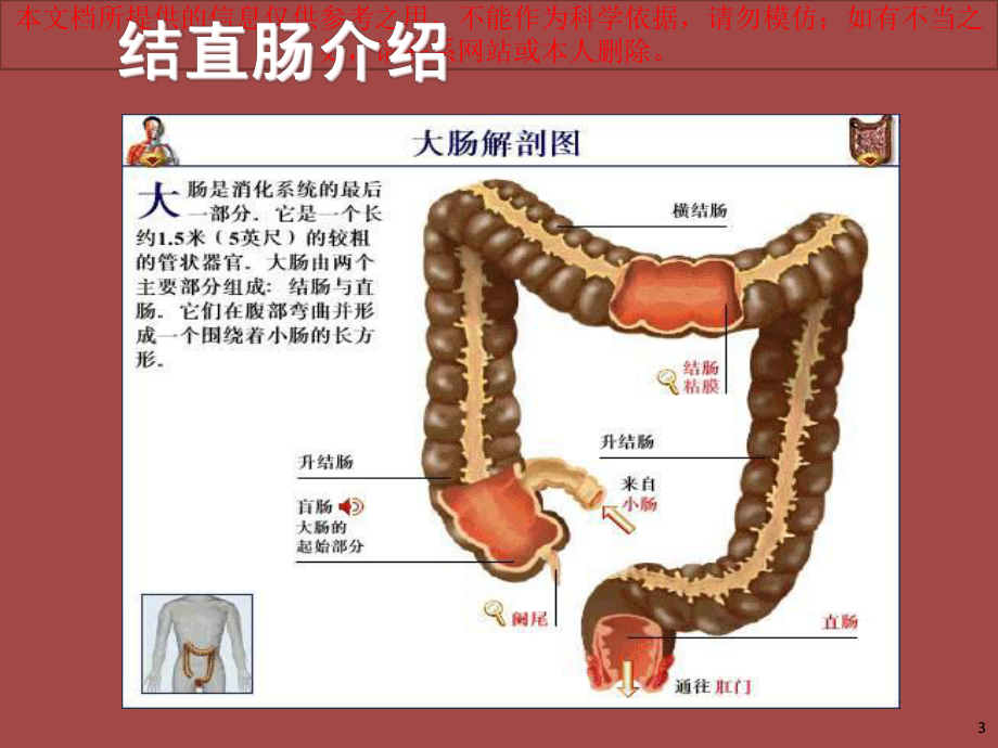 消化道肿瘤专题知识宣教宣讲培训课件.ppt_第3页