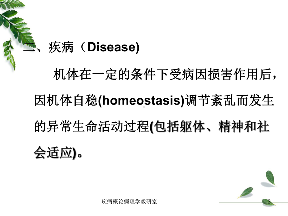 疾病概论病理学教研室课件.ppt_第3页