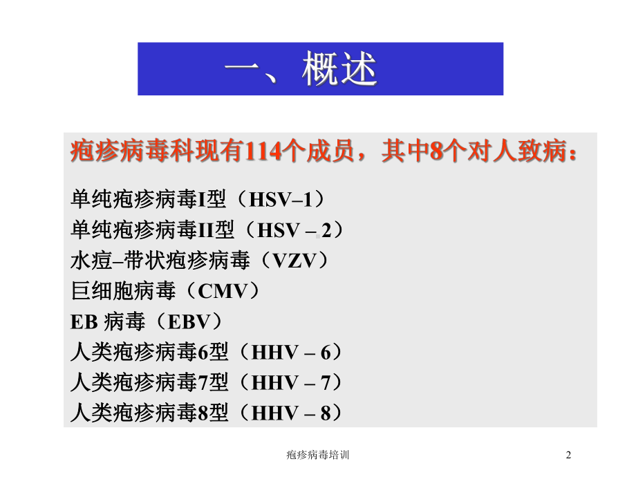 疱疹病毒培训培训课件.ppt_第2页