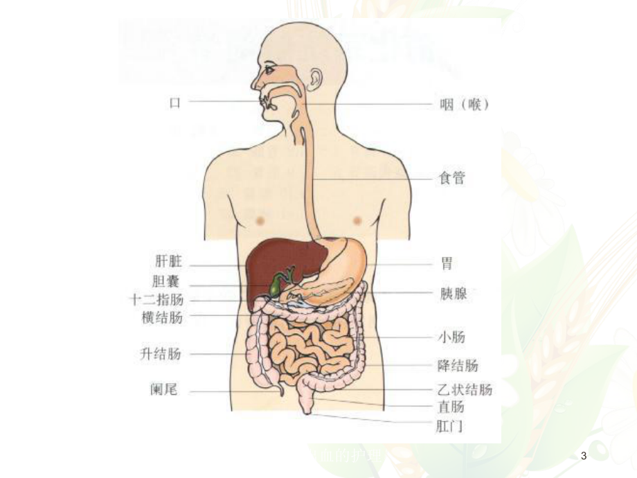 消化道出血的护理培训课件.ppt_第3页