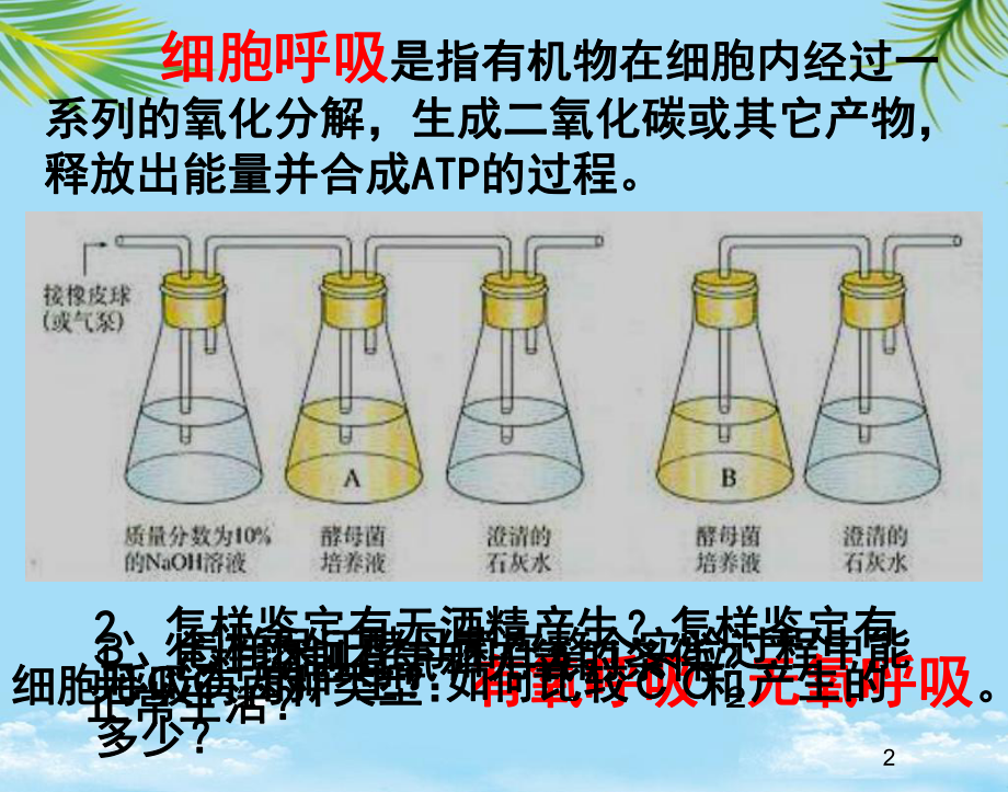 生物必修ⅰ人教新课标atp的主要来源细胞呼吸课件.ppt_第2页