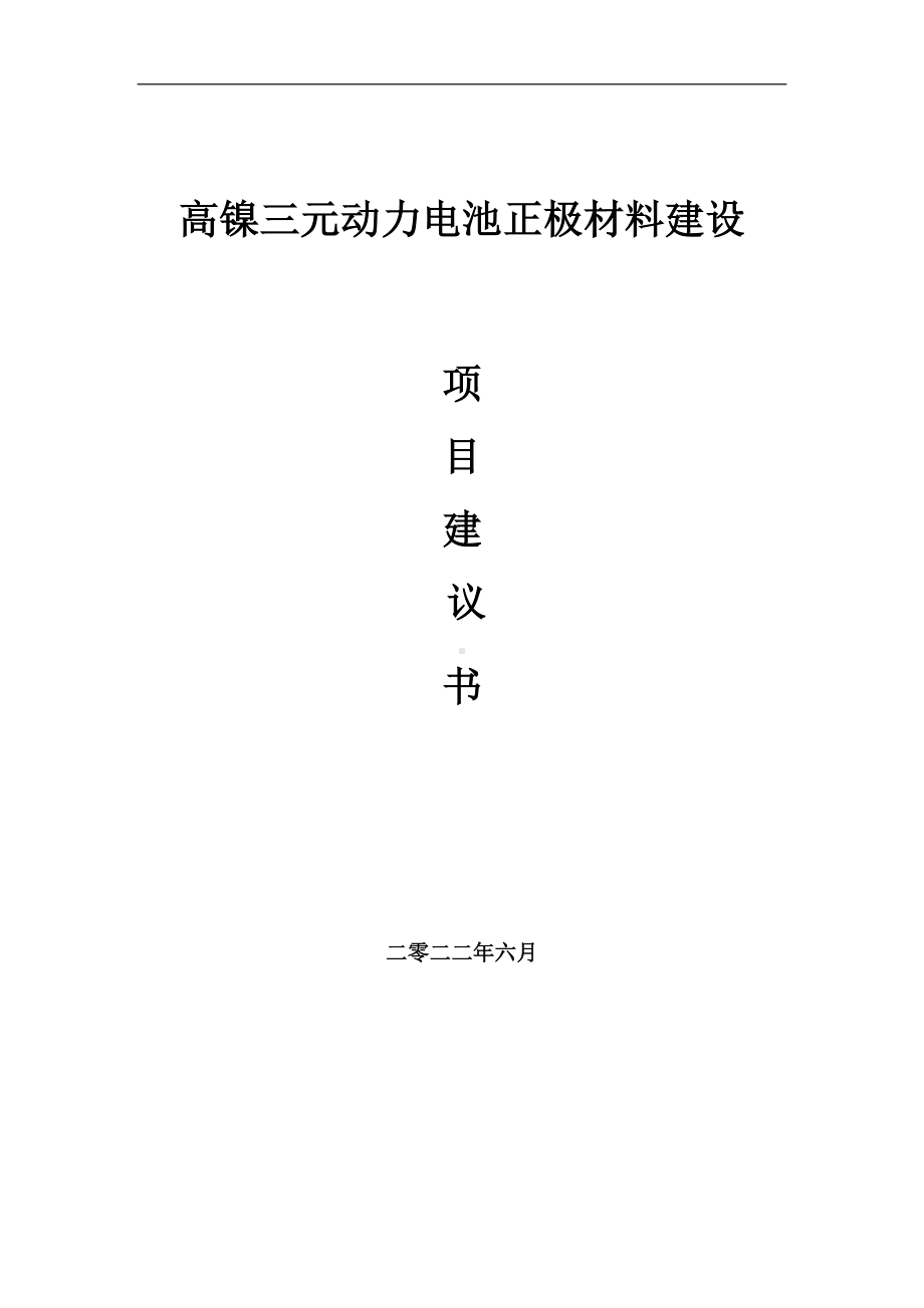 高镍三元动力电池正极材料项目建议书（写作模板）.doc_第1页