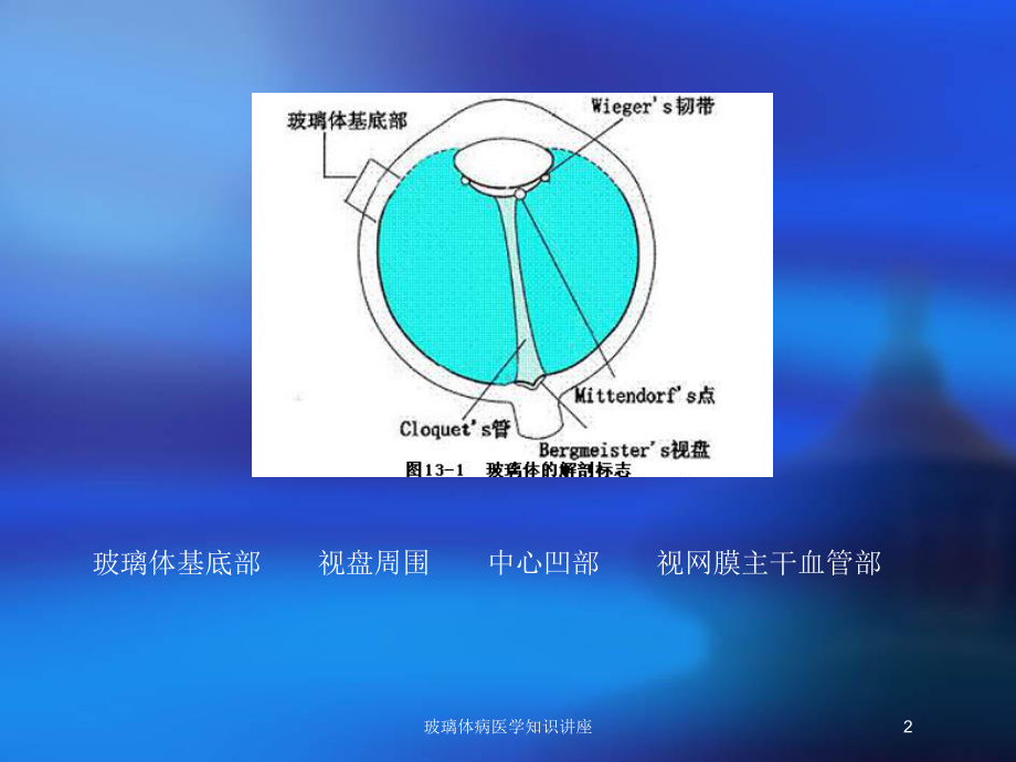 玻璃体病医学知识讲座培训课件.ppt_第2页