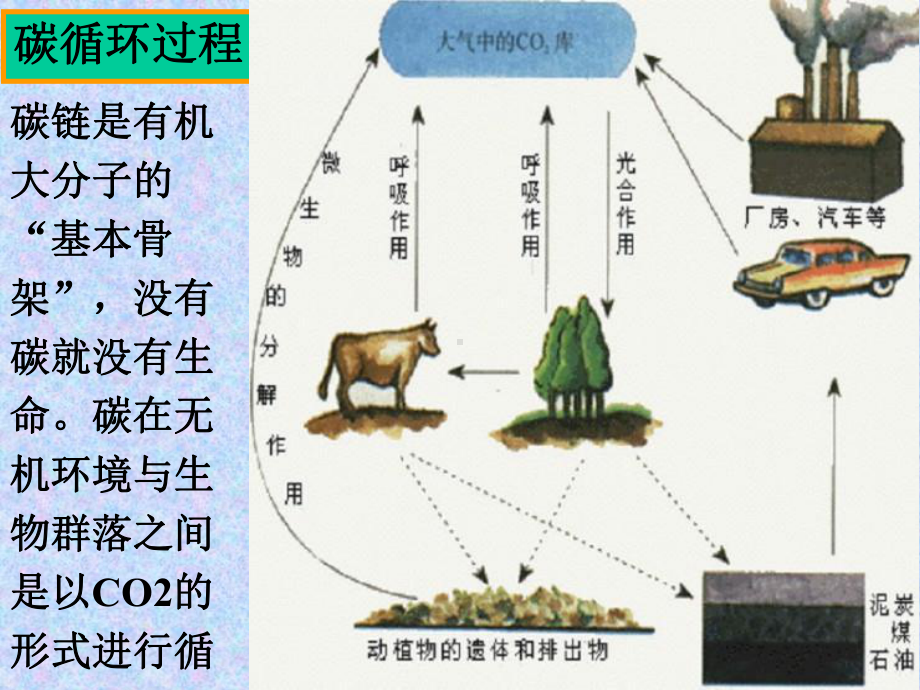 生态系统的物质循环优秀课件2.ppt_第2页