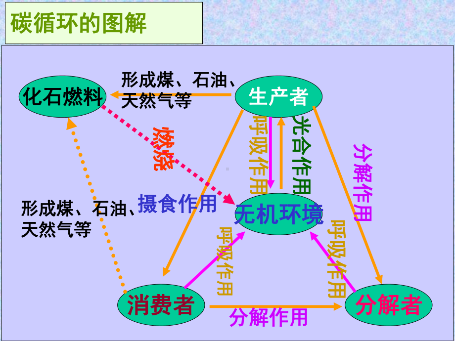 生态系统的物质循环优秀课件2.ppt_第3页