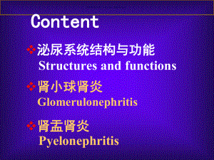 泌尿系统疾病分析报告课件.ppt