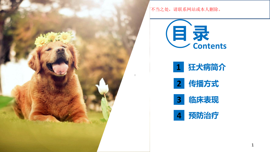 狂犬病的前世今生课件.ppt_第1页