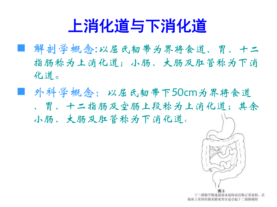 消化道大出血的鉴别诊断和处理原则课件.pptx_第2页