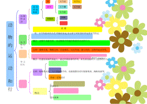 初二上学期生物思维导图“动物的运动和行为”.doc