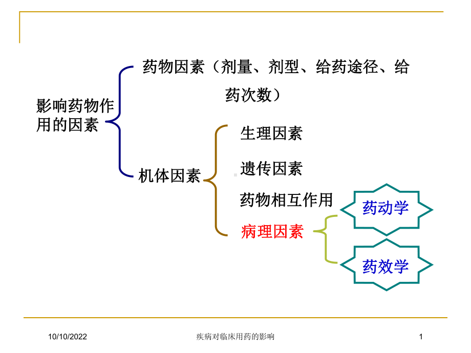 疾病对临床用药的影响培训课件.ppt_第1页