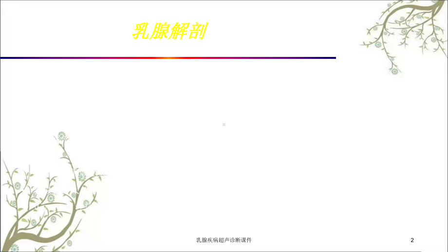 乳腺疾病超声诊断课件1.ppt_第2页