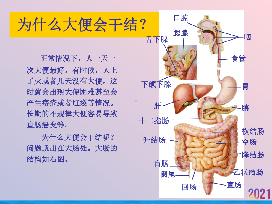 消化系统肝胆胰脾部分课件.ppt_第3页