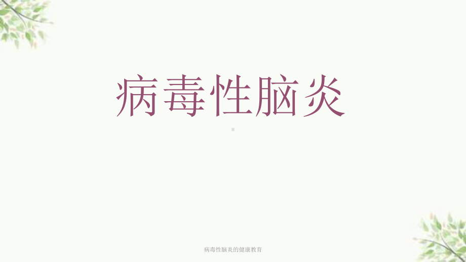 病毒性脑炎的健康教育课件.ppt_第2页