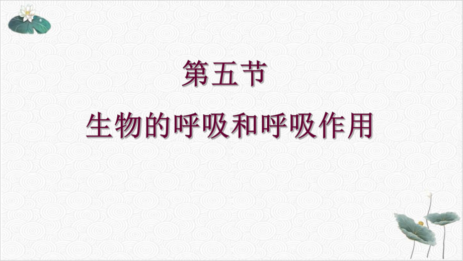 浙教版科学八级下生物的呼吸和呼吸作用教学课件.pptx_第2页