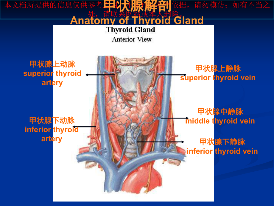 甲状腺疾病汇总培训课件.ppt_第2页