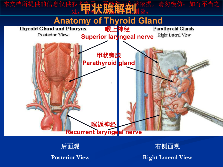 甲状腺疾病汇总培训课件.ppt_第3页