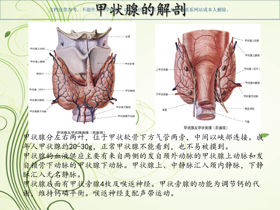 甲状腺肿瘤和防治课件.ppt_第2页