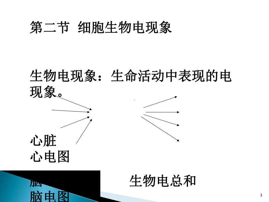 生物医学工程-人体解剖生理和生物电现象课件.pptx_第3页