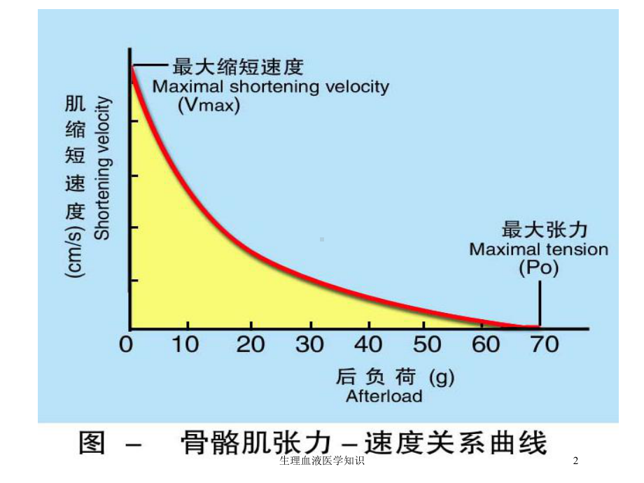 生理血液医学知识培训课件.ppt_第2页