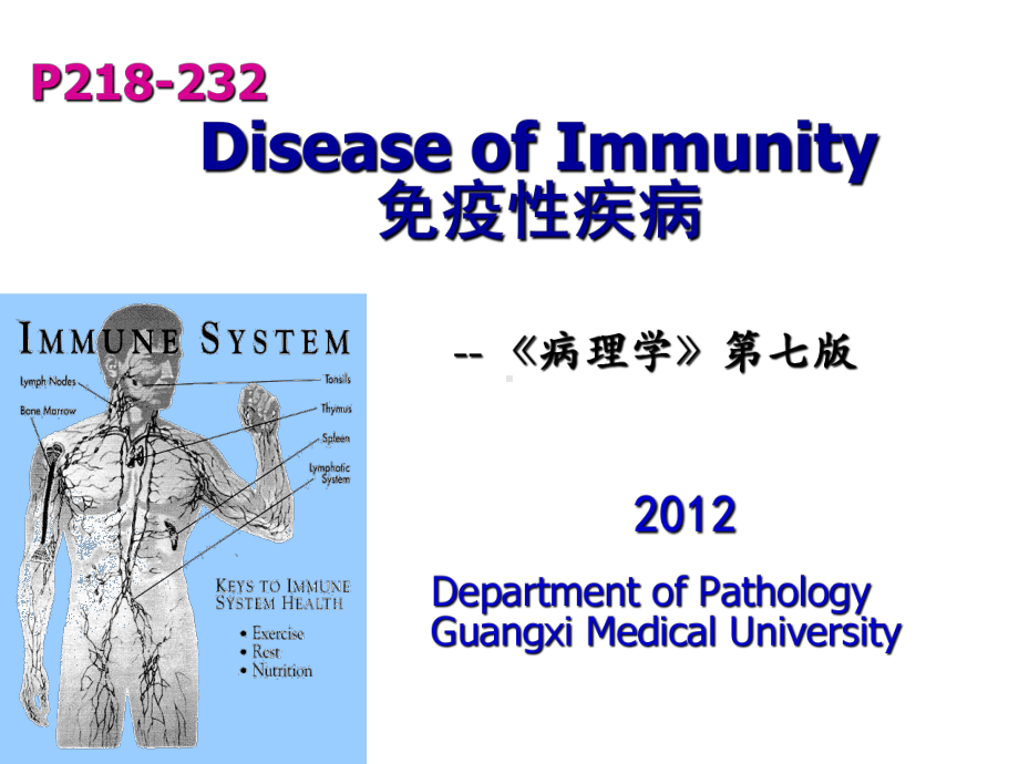 病理学免疫性疾病课件.pptx_第1页