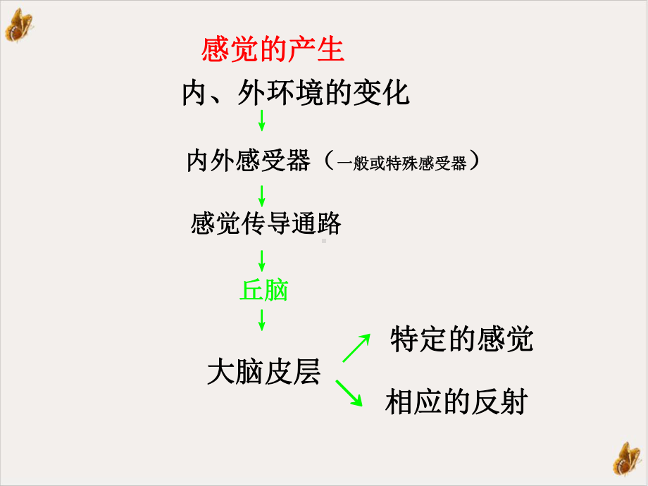 生理学神经系统功能二课件.pptx_第1页