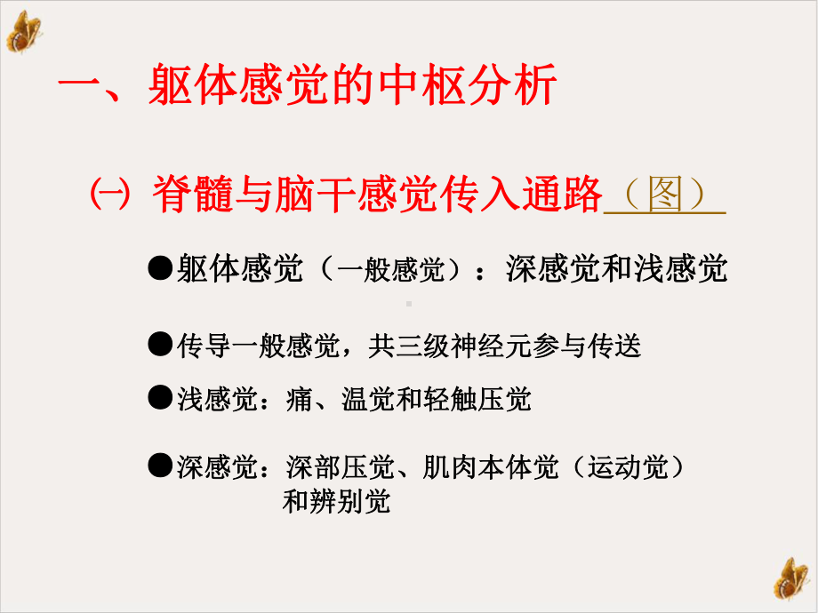 生理学神经系统功能二课件.pptx_第2页