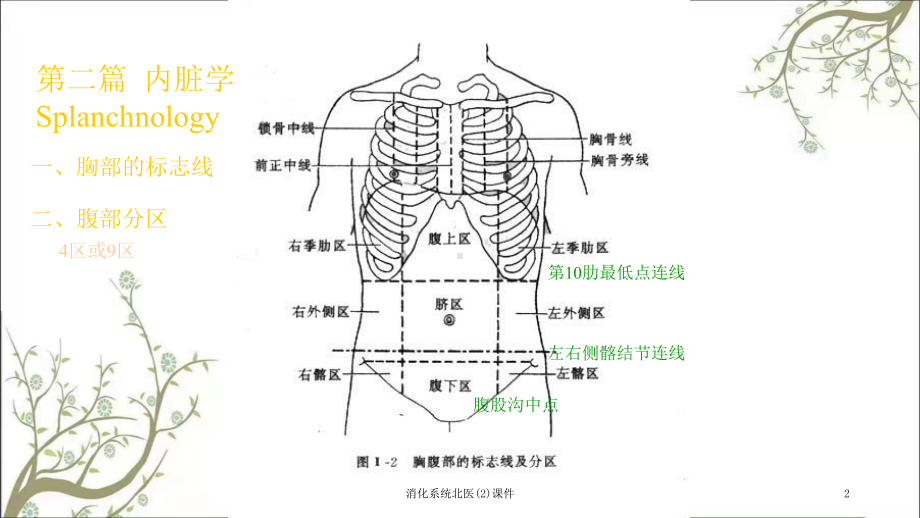 消化系统北医课件2.ppt_第2页