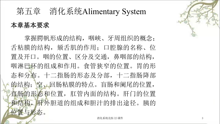 消化系统北医课件2.ppt_第3页