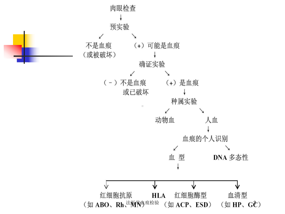 法医学血痕检验培训课件.ppt_第3页