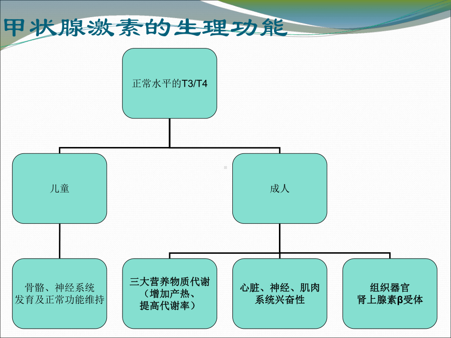 甲亢危象课件培训课件.ppt_第3页