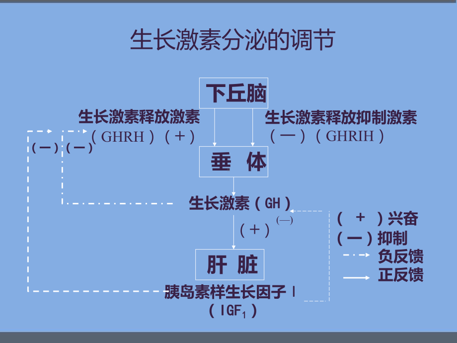 生长激素缺乏症-课件.pptx_第2页