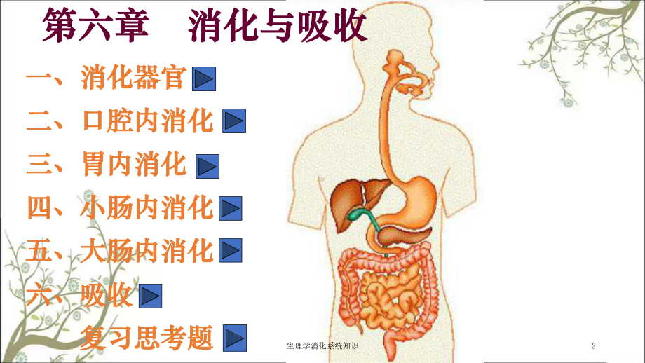 生理学消化系统知识课件.ppt_第2页