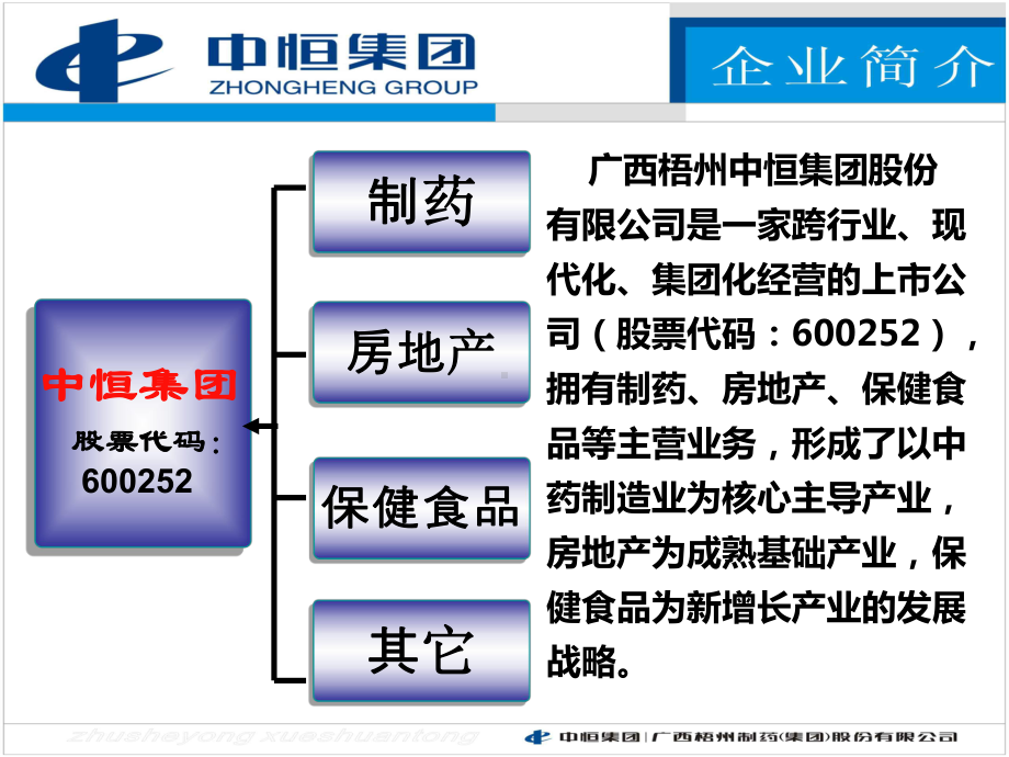 注射用血栓通产品交流会主题讲座课件.ppt_第3页