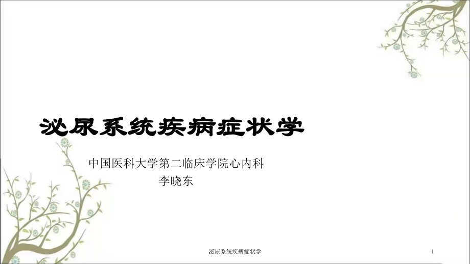 泌尿系统疾病症状学课件.ppt_第1页