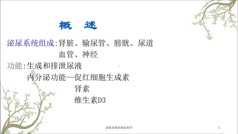 泌尿系统疾病症状学课件.ppt_第2页