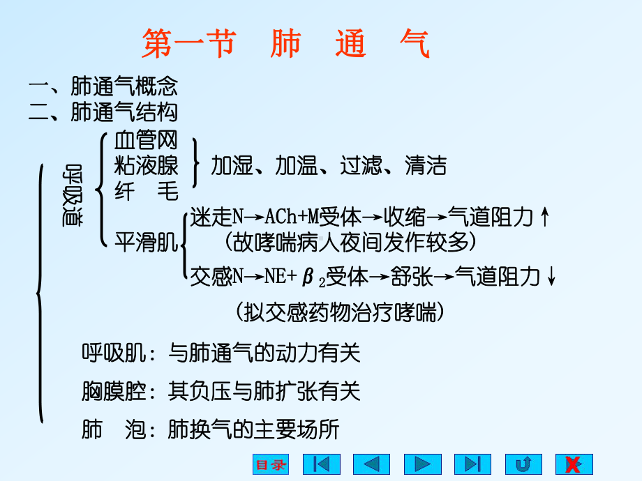 生理学课件-呼吸系统-自改(专业课堂).ppt_第3页