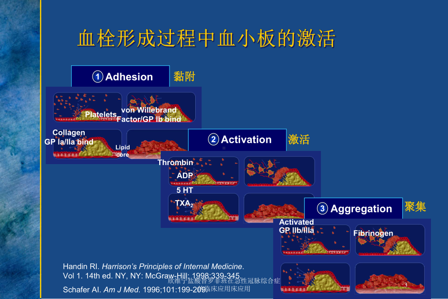 欣维宁盐酸替罗非班在急性冠脉综合症的临床应用床应用培训课件.ppt_第3页