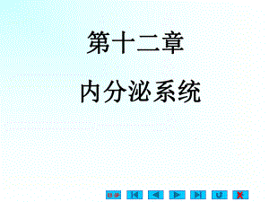 生理课件-内分泌.ppt