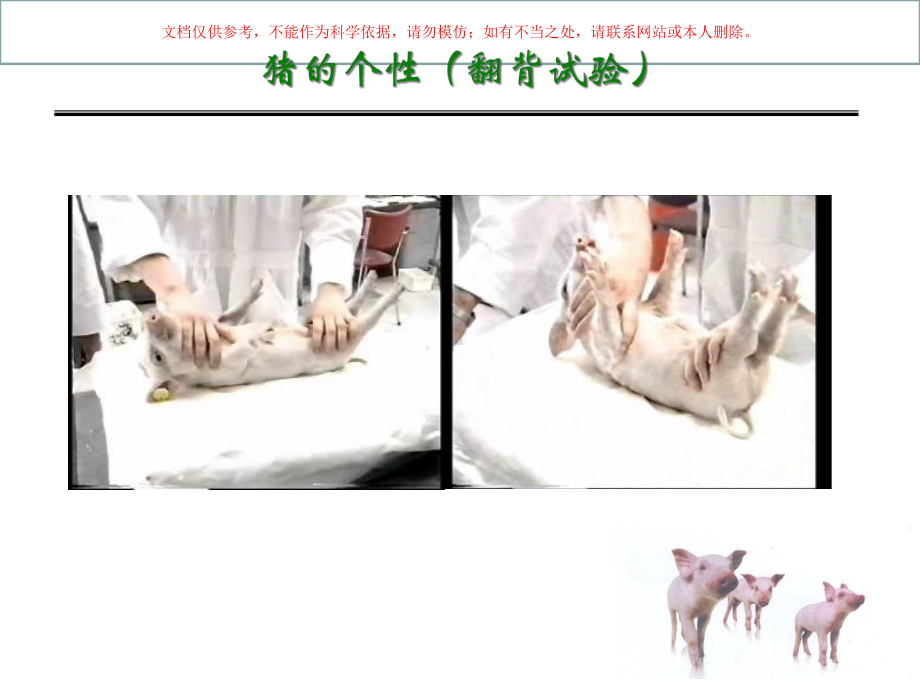 猪糖皮质激素受体研究进展课件.ppt_第3页