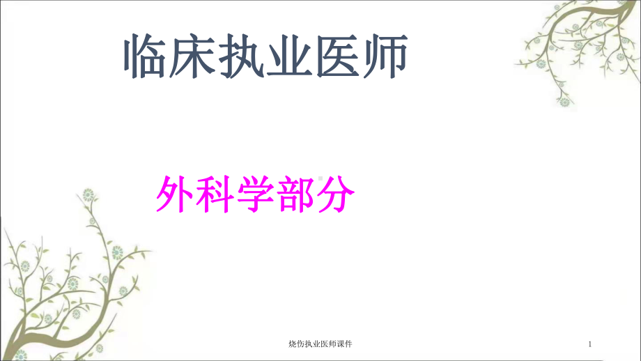 烧伤执业医师课件.ppt_第1页