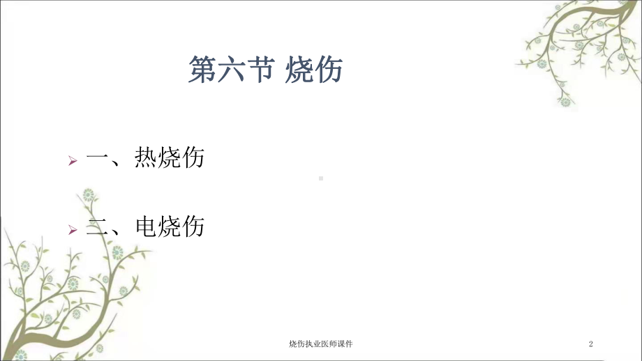 烧伤执业医师课件.ppt_第2页