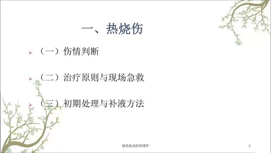 烧伤执业医师课件.ppt_第3页