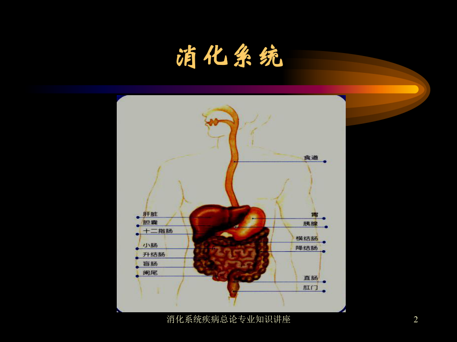 消化系统疾病总论专业知识讲座培训课件.ppt_第2页