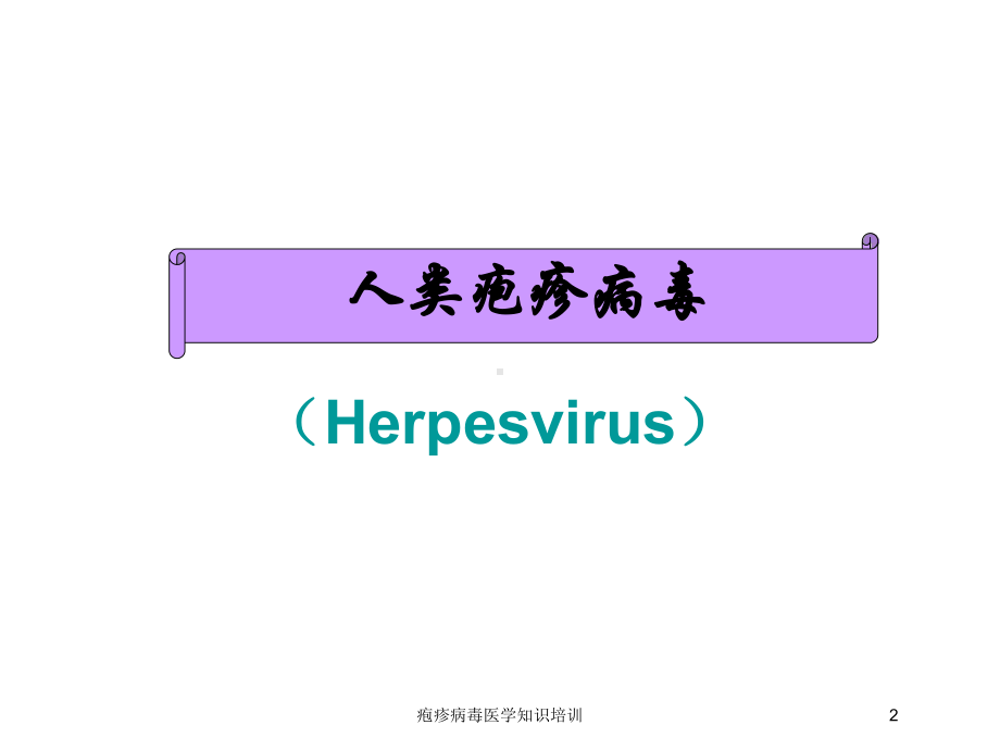 疱疹病毒医学知识培训培训课件.ppt_第2页