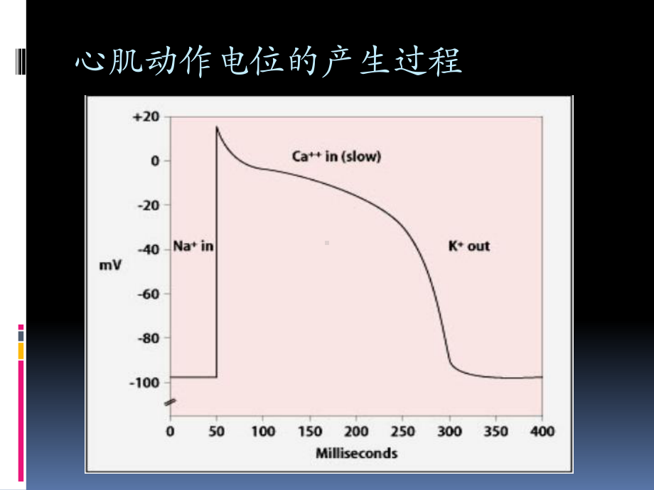 电解质药物与心律失常课件.pptx_第2页